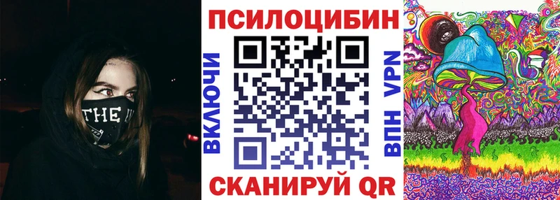 Купить закладки  Краснознаменск  Галлюциногенные грибы мицелий 