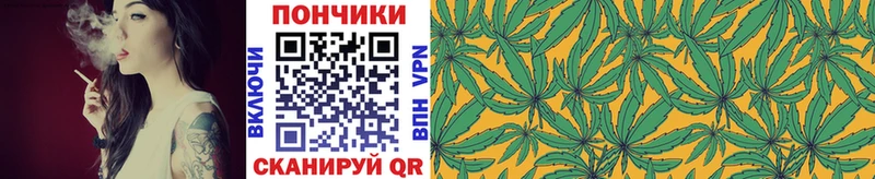 Бошки Шишки конопля  Купить закладки  Краснознаменск 